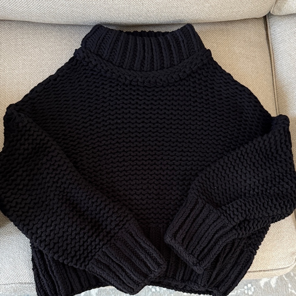 Free People Midnight Knit Turtleneck Sweater